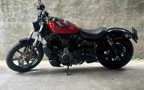 HARLEY  HARLEY RH975 NIGHT  STAR  2024 ZH1