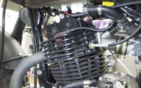OTHER MUTT250 1998