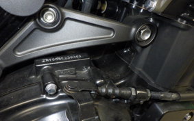 KAWASAKI Z900RS 2024 ZR900K