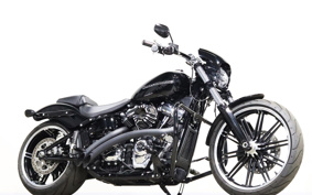 HARLEY FXBRS 2021 YHK