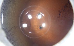 HONDA C50 SUPER CUB C50