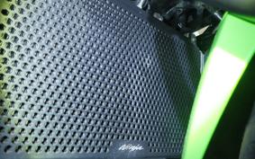 KAWASAKI NINJA 400 2021 EX400G
