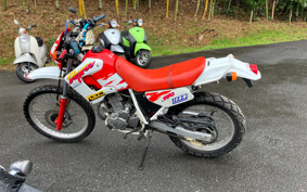 HONDA XL250 DEGREE MD26