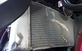 KAWASAKI NINJA 250 ABS EX250L