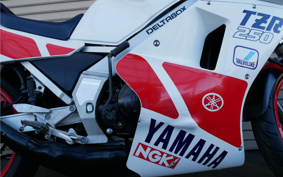 YAMAHA TZR250-1 1KT