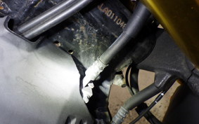 HONDA HORNET 2.0