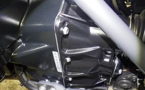BMW R1250RS 2021