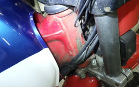 HONDA XL250R PARIS-DAKAR  1991 MD03