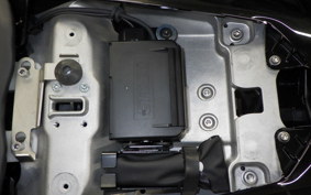 KAWASAKI NINJA 1000 SX 2021 ZXT02K