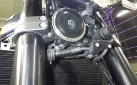 KAWASAKI Z900RS 2022 ZR900C