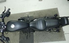 OTHER +HD. XL883N 2013