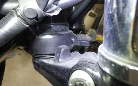 KAWASAKI W800 2022 EJ800E