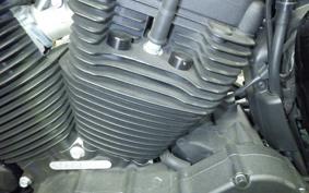 HARLEY XL1200NS 2018