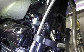 HARLEY FLHXSE1980CVO 2024