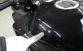 KAWASAKI NINJA 1000SX 2021 ZXT02K