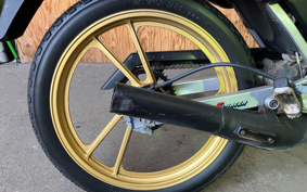 YAMAHA AKUSHI STREET SE53J