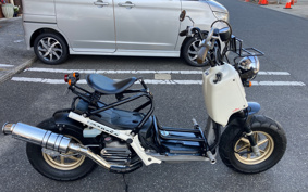 HONDA ZUMAR AF58