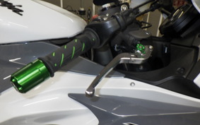 KAWASAKI NINJA ZX-6R A 2021 ZX636G