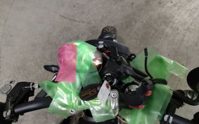 TRIUMPH SPEED TWIN 900 2025 DP0G29