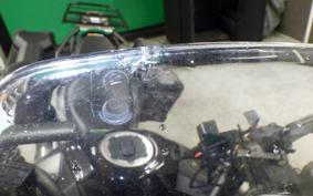 KAWASAKI VERSYS X250 A LE250D