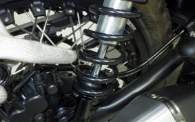 OTHER MUTT250