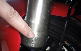 DUCATI 1098 2008