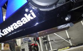 KAWASAKI NINJA 250 EX250P