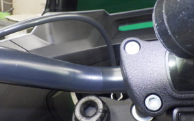 HARLEY FXLRST1920 2025