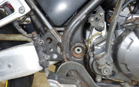YAMAHA TDR250 2YK