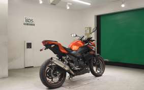 KAWASAKI Z250 2019 ER250C