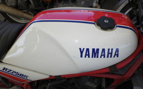 YAMAHA RZ250R 29L