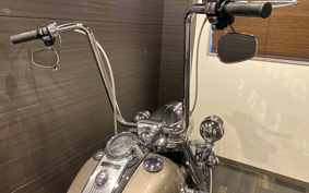 HARLEY FLHR 2007 FB4