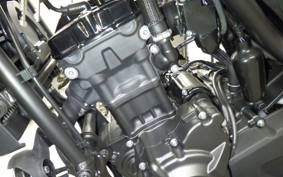 HONDA REBEL 250 S 2025 MC49