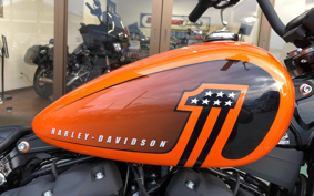 HARLEY FXBBS 2021 YYK