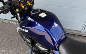 KAWASAKI ZRX1200 DAEG 2009 ZRT20D
