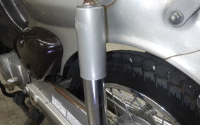 HONDA LITTLE CUB 2019 AA01