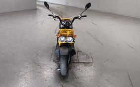 HONDA ZUMAR AF58