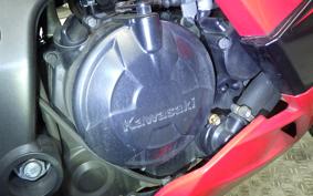 KAWASAKI NINJA 250 SL BX250A