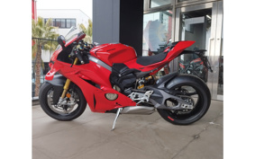 DUCATI PANIGA-REV4S 2026 5D00