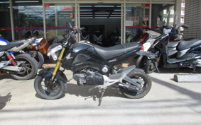 HONDA GROM JC61