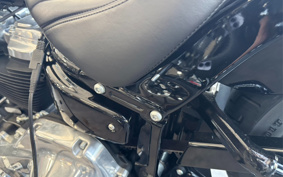 HARLEY FXST1340-1450 2020 BVJ