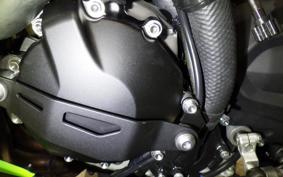 KAWASAKI NINJA ZX-6R A 2025 ZX636J