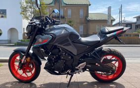 YAMAHA MT-25 ABS RG43J