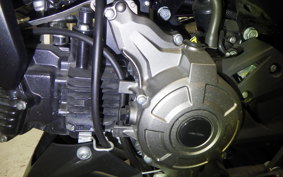 KAWASAKI Z125 PRO 2021 BR125H