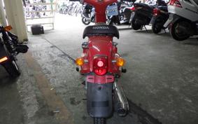 HONDA LITTLE CUB C50