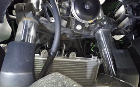 KAWASAKI NINJA 250 2006 EX250Y