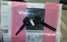 HONDA REBEL 250  S E-clutch MC49