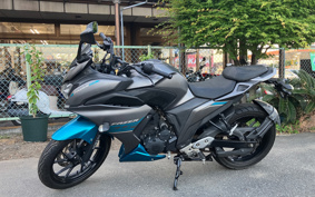 YAMAHA FAZER 250 RG42