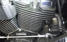 HARLEY FLFB1920 2025