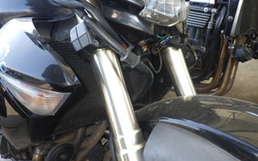 KAWASAKI Z1000 Gen.3 2009 ZRT00B